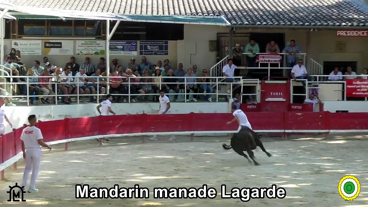 2026 05 25 Mandarin