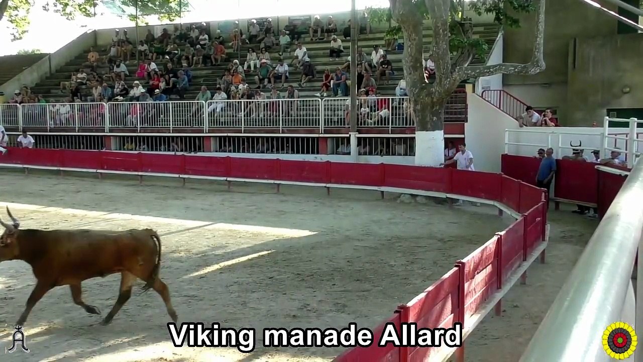 2026 05 25 Viking