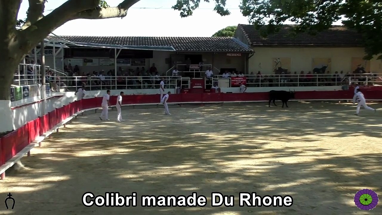 2026 05 25 Colibri