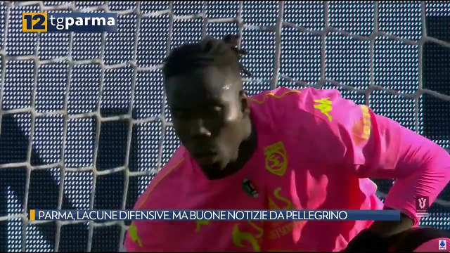 PARMA, LACUNE DIFENSIVE. MA BUONE NOTIZIE DA PELLEGRINO | PARMA, LACUNE DIFENSIVE. MA BUONE NOTIZIE DA PELLEGRINO