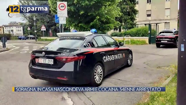 S0RAGNA, IN CASA NASCONDEVA ARMI E COCAINA: 34ENNE ARRESTATO | S0RAGNA, IN CASA NASCONDEVA ARMI E COCAINA: 34ENNE ARRESTATO