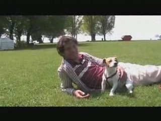Jack Russell Frisbee