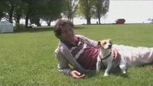 Jack Russell Frisbee