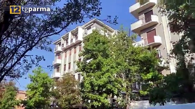 SALSO, PIANTE CADUTE IN VIALE MATTEOTTI. L'ACERO ERA IN ATTESA DI ABBATTIMENTO | SALSO, PIANTE CADUTE IN VIALE MATTEOTTI. L'ACERO ERA IN ATTESA DI ABBATTIMENTO