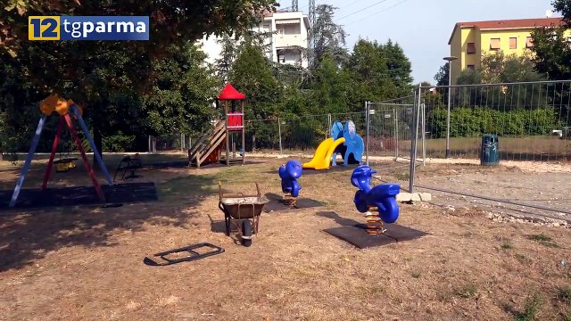 PARCO VETRAI, ABBANDONO DI TRONCHI E RIFIUTI VICINO AI LAVORI | PARCO VETRAI, ABBANDONO DI TRONCHI E RIFIUTI VICINO AI LAVORI