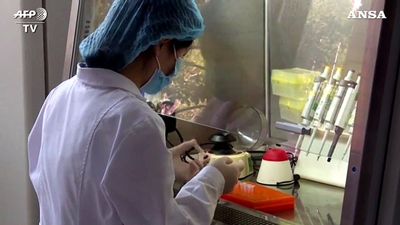 Coronavirus, la Cina accelera sui test diagnostici