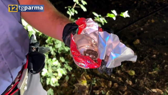 CITTÀ PASSATA AL SETACCIO: 12 TV PARMA AL SEGUITO DEI CARABINIERI | CITTÀ PASSATA AL SETACCIO: 12 TV PARMA AL SEGUITO DEI CARABINIERI