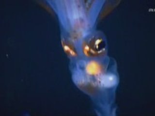 1/3 - Expédition dans les Abysses