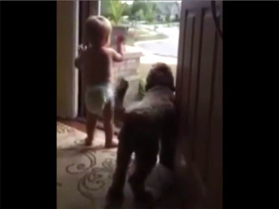 cane e bibmo salutano