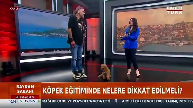 Habertürk ne yapmaya çalışıyor? Kurban Bayramı sabahı köpek yayını!
