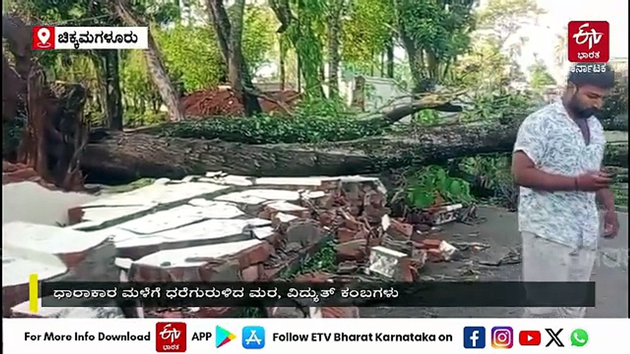 ಚಿಕ್ಕಮಗಳೂರು: ಮಳೆಗೆ ಮರಗಳು, ವಿದ್ಯುತ್ ಕಂಬಗಳು ಧರೆಗೆ, ಶೇ.60 ರಷ್ಟು ಪ್ರದೇಶದಲ್ಲಿ ವಿದ್ಯುತ್ ವ್ಯತ್ಯಯ