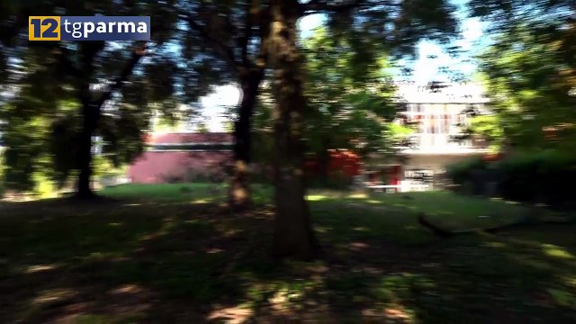 PISCINA FERRARI, INCURIA E DEGRADO IN ATTESA DEL NUOVO PROGETTO | PISCINA FERRARI, INCURIA E DEGRADO IN ATTESA DEL NUOVO PROGETTO