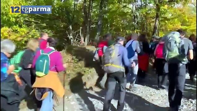 SUL PASSO DI SANTA DONNA IN 500 PER GRIDARE NO ALLE 47 PALE EOLICHE | SUL PASSO DI SANTA DONNA IN 500 PER GRIDARE NO ALLE 47 PALE EOLICHE