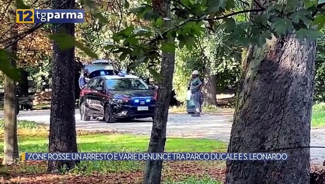 ZONE ROSSE, UN ARRESTO E VARIE DENUNCE TRA PARCO DUCALE E S. LEONARDO | ZONE ROSSE, UN ARRESTO E VARIE DENUNCE TRA PARCO DUCALE E S. LEONARDO