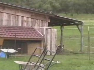 3 septembre 2006 - Les retrouvailles