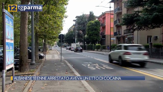 ALBANESE 18 ENNE ARRESTATO: AVEVA UN ETTO DI COCAINA | ALBANESE 18 ENNE ARRESTATO: AVEVA UN ETTO DI COCAINA