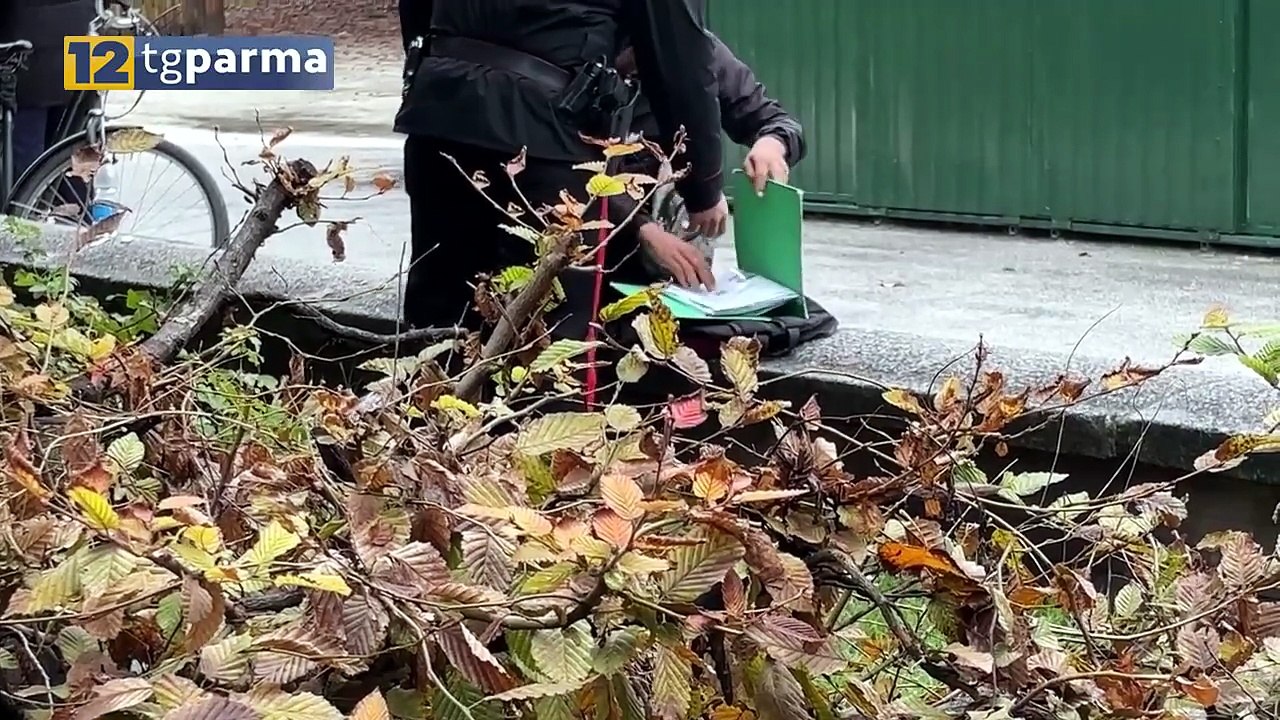 CONTROLLI SERRATI DEI CARABINIERI: DENUNCE, SEQUESTRI DI DROGA E ARMI | CONTROLLI SERRATI DEI CARABINIERI: DENUNCE, SEQUESTRI DI DROGA E ARMI