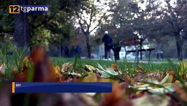 SAN LEONARDO, PARCO NORD RIQUALIFICATO: PIÙ FRUIBILE E PIÙ SICURO | SAN LEONARDO, PARCO NORD RIQUALIFICATO: PIÙ FRUIBILE E PIÙ SICURO