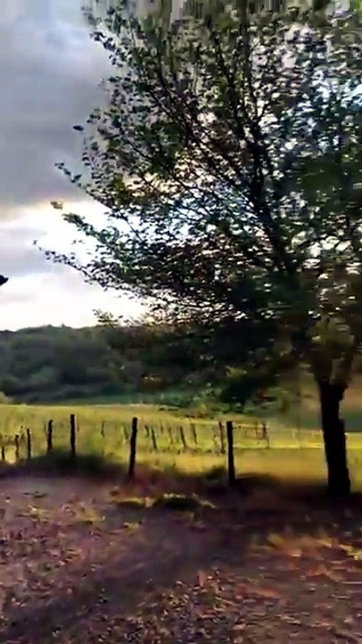 Prova