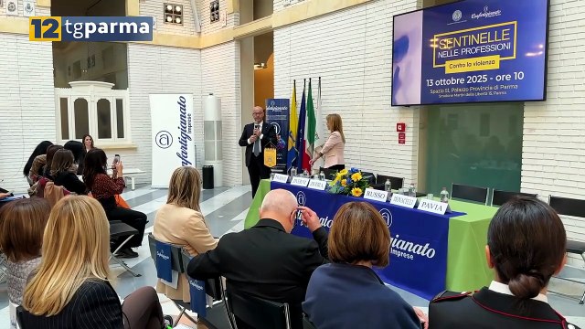 SENTINELLE NELLE PROFESSIONI CONTRO LA VIOLENZA DI GENERE | SENTINELLE NELLE PROFESSIONI CONTRO LA VIOLENZA DI GENERE
