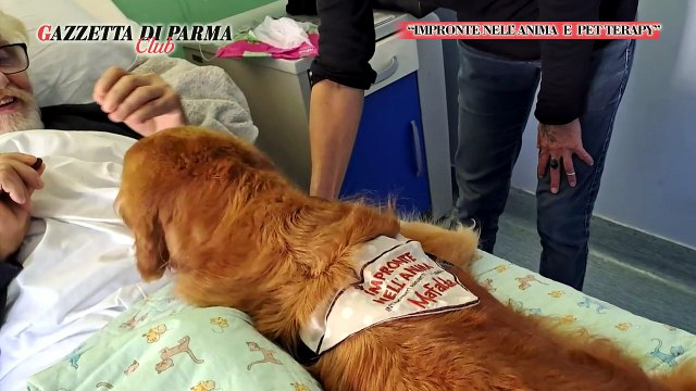 Gazzetta Club - Dieci anni di sorrisi a 6 zampe. Impronte nell'anima e il suo viaggio nell'ambito della Pet Therapy del 16/10/25 | Gazzetta Club - Dieci anni di sorrisi a 6 zampe. Impronte nell'anima e il suo viaggio nell'ambito della Pet Therapy del