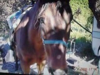 video prise sur mon ordinateur 2