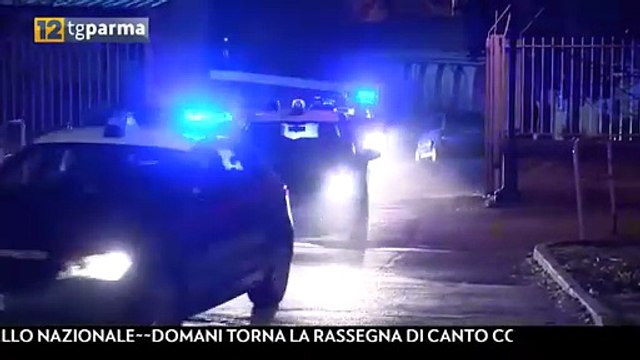 Gambiano 29enne aggredisce due persone nel parco Ducale: arrestato Video