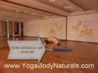 Yoga Poses, Yoga Videos for the Back