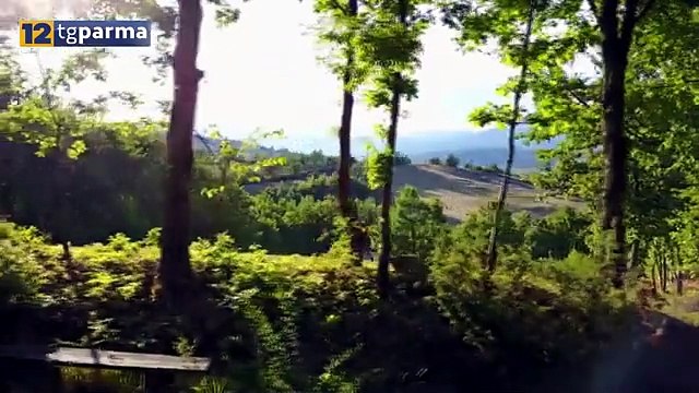 Doppio incidente in montagna, grave un 62enne travolto da un albero Video