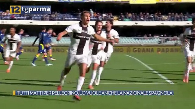 TUTTI MATTI PER PELLEGRINO: LO VUOLE ANCHE LA NAZIONALE SPAGNOLA | TUTTI MATTI PER PELLEGRINO: LO VUOLE ANCHE LA NAZIONALE SPAGNOLA
