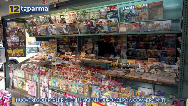 NUOVE REGOLE PER LE RIGHE BLU, VIGNALI: DURO COLPO AI COMMERCIANTI | NUOVE REGOLE PER LE RIGHE BLU, VIGNALI: DURO COLPO AI COMMERCIANTI