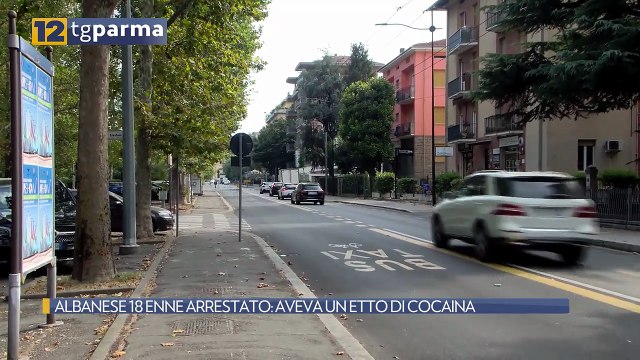 ALBANESE 18 ENNE ARRESTATO: AVEVA UN ETTO DI COCAINA | ALBANESE 18 ENNE ARRESTATO: AVEVA UN ETTO DI COCAINA