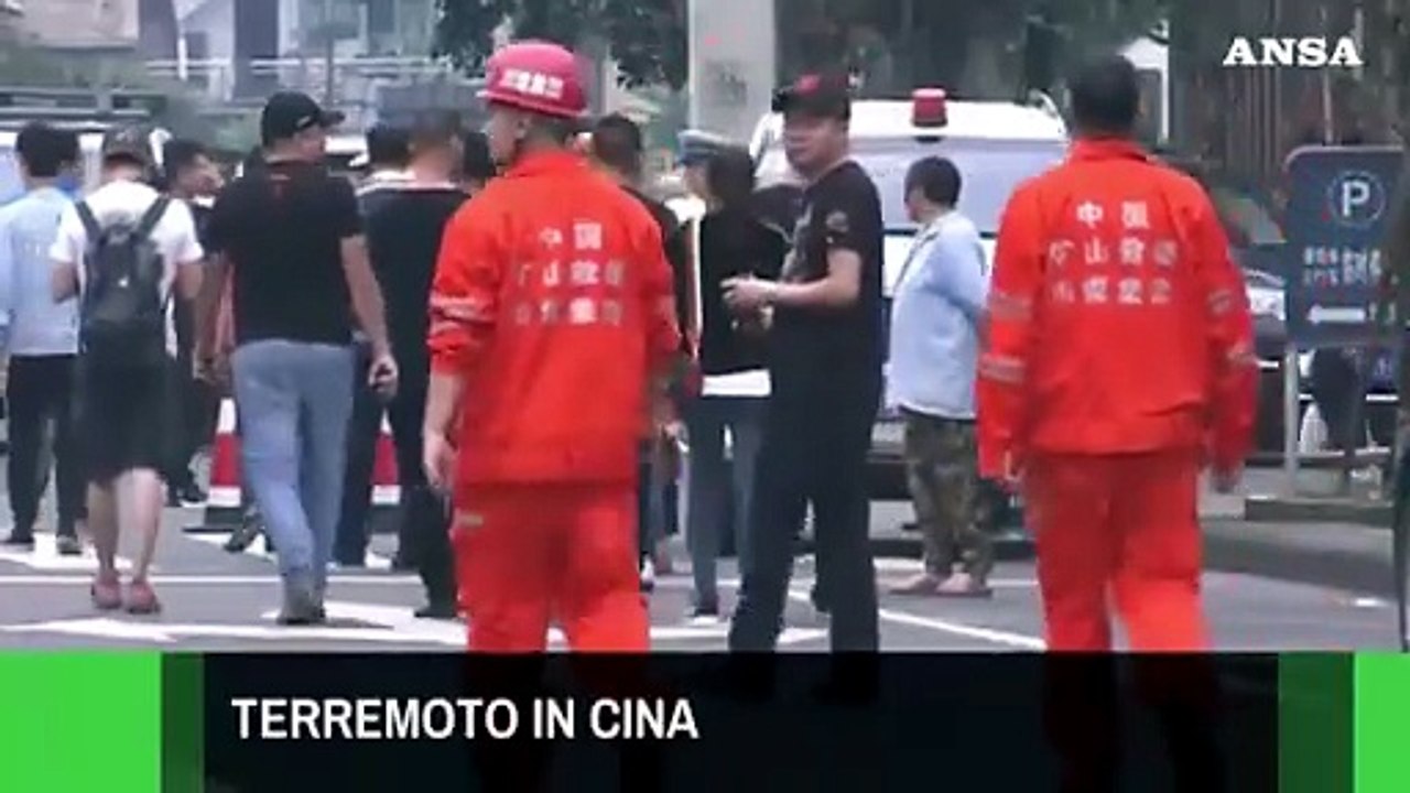 ANSAtg delle ore 12