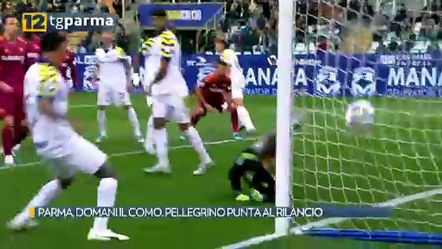 PARMA, DOMANI IL COMO. PELLEGRINO PUNTA AL RILANCIO | PARMA, DOMANI IL COMO. PELLEGRINO PUNTA AL RILANCIO