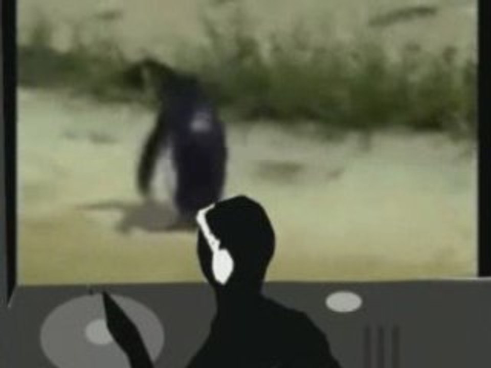 Avez-vous déjà vu - Un pingouin qui dance sur du hardcore?