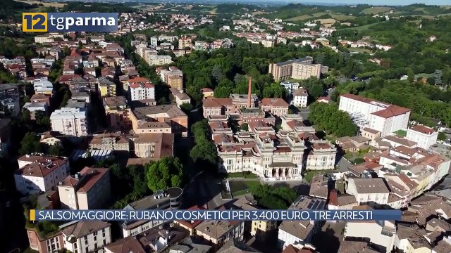SALSOMAGGIORE: RUBANO COSMETICI PER 3.400 EURO, TRE ARRESTI | SALSOMAGGIORE: RUBANO COSMETICI PER 3.400 EURO, TRE ARRESTI