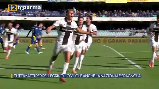 TUTTI MATTI PER PELLEGRINO: LO VUOLE ANCHE LA NAZIONALE SPAGNOLA | TUTTI MATTI PER PELLEGRINO: LO VUOLE ANCHE LA NAZIONALE SPAGNOLA
