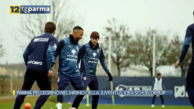 PARMA, PELLEGRINO NEL MIRINO DELLA JUVENTUS. IDEA SCHJELDERUP | PARMA, PELLEGRINO NEL MIRINO DELLA JUVENTUS. IDEA SCHJELDERUP
