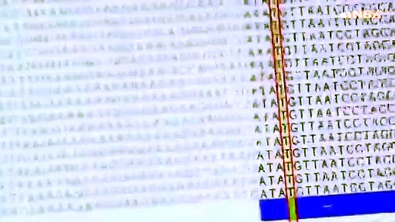 Il Dna progettato al computer diventa longevo