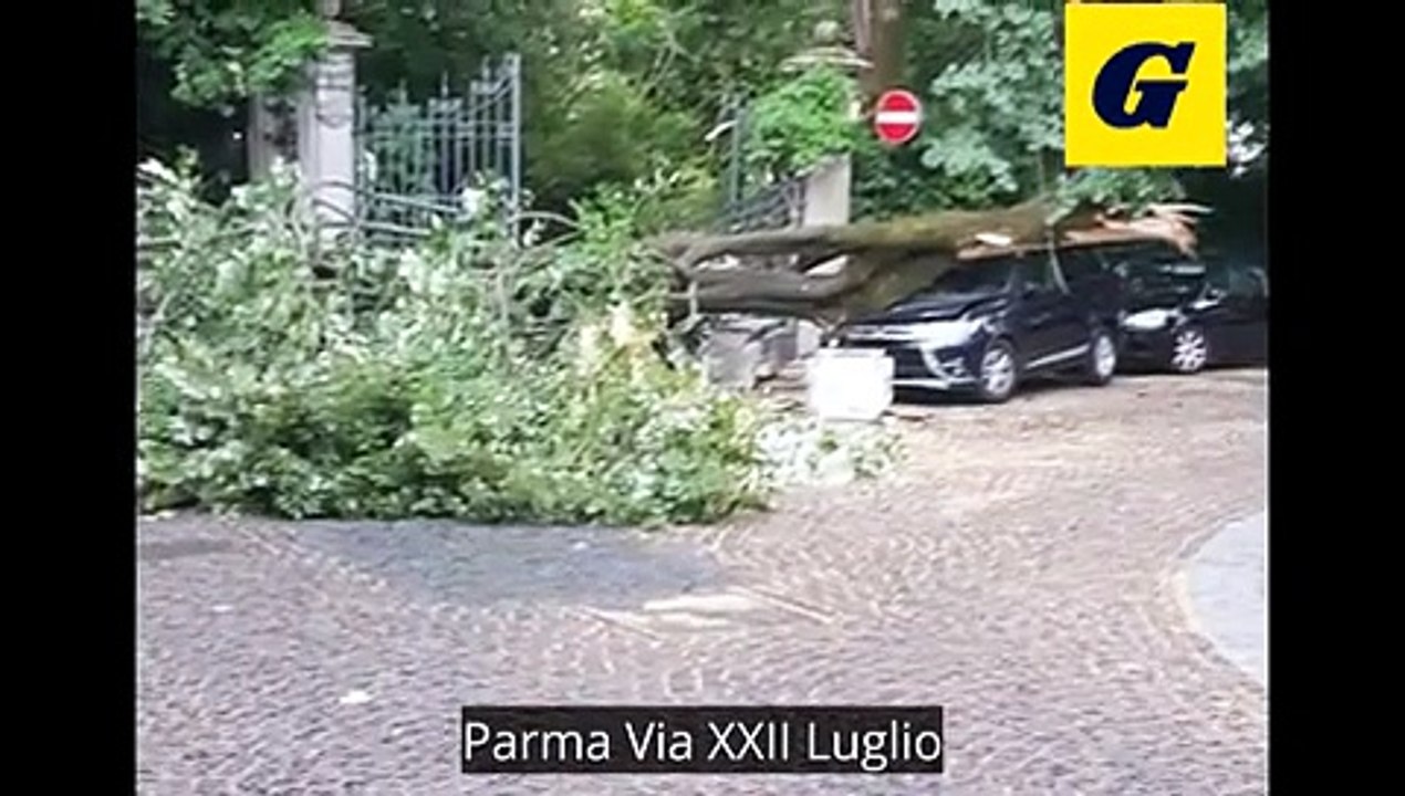 video maltempo 1 luglio