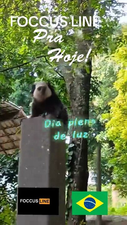 1000043526- OS SAGUIS