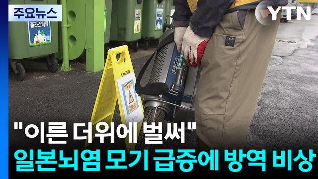 이른 더위에 벌써 ...일본뇌염 모기 급증에 방역 비상 / YTN