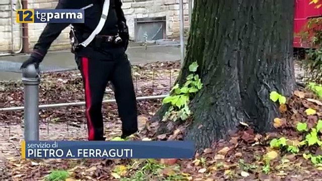 SPACCIO DI COCAINA, ARRESTI NEL FOGGIANO. COINVOLTO ANCHE IL PARMENSE | SPACCIO DI COCAINA, ARRESTI NEL FOGGIANO. COINVOLTO ANCHE IL PARMENSE