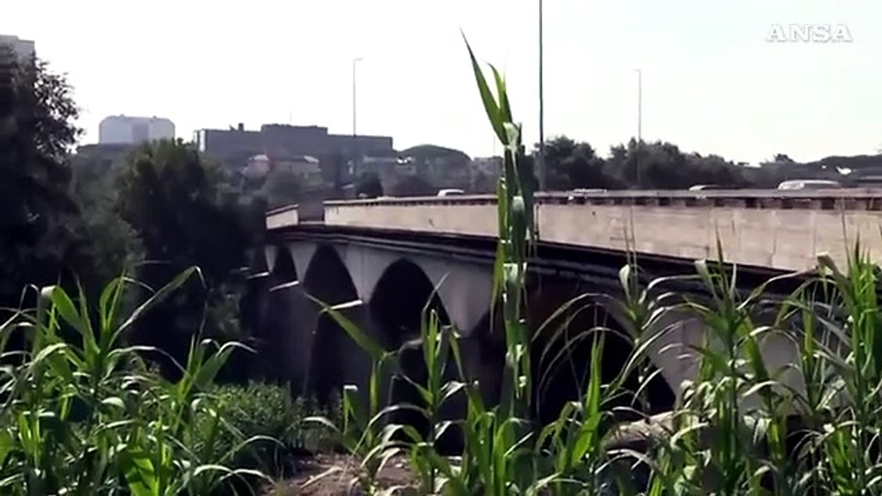 ANSAtg delle ore 15