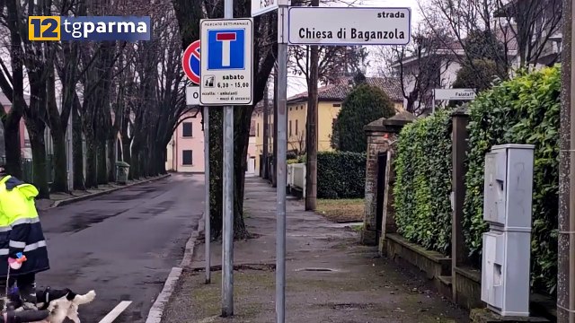 NON CE L'HA FATTA LA DONNA DI 84 ANNI INVESTITA IERI SERA A BAGANZOLA | NON CE L'HA FATTA LA DONNA DI 84 ANNI INVESTITA IERI SERA A BAGANZOLA