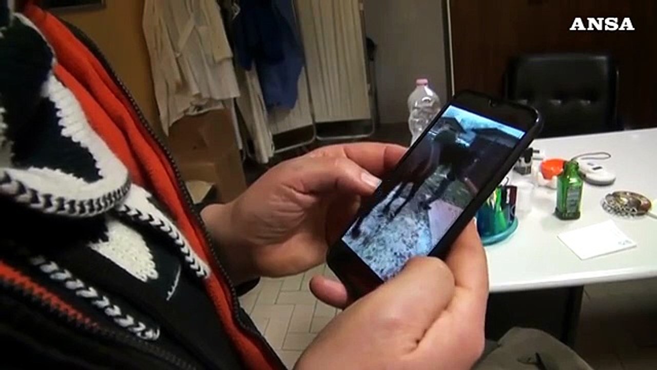 La nuova vita di Unadame, il cavallo salvato dalla morte
