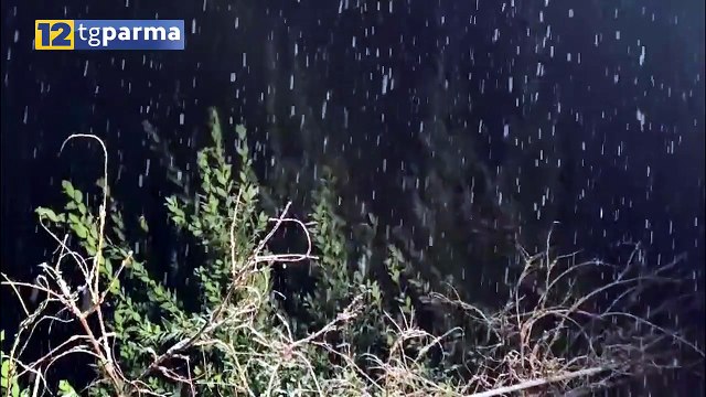 NEVE IN MONTAGNA E IN COLLINA, PIOGGIA IN CITTÀ. MA DOMANI TORNA IL SOLE | NEVE IN MONTAGNA E IN COLLINA, PIOGGIA IN CITTÀ. MA DOMANI TORNA IL SOLE