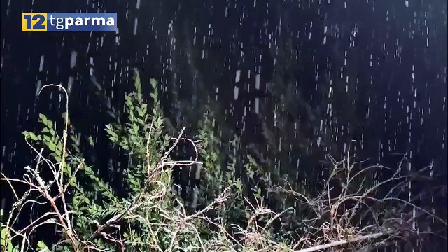NEVE IN MONTAGNA E IN COLLINA, PIOGGIA IN CITTÀ. MA DOMANI TORNA IL SOLE | NEVE IN MONTAGNA E IN COLLINA, PIOGGIA IN CITTÀ. MA DOMANI TORNA IL SOLE