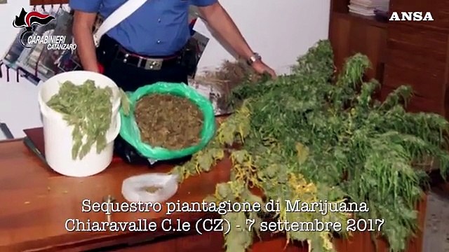 'Ndrangheta, operazione dei carabinieri nel Catanzarese: 17 arresti