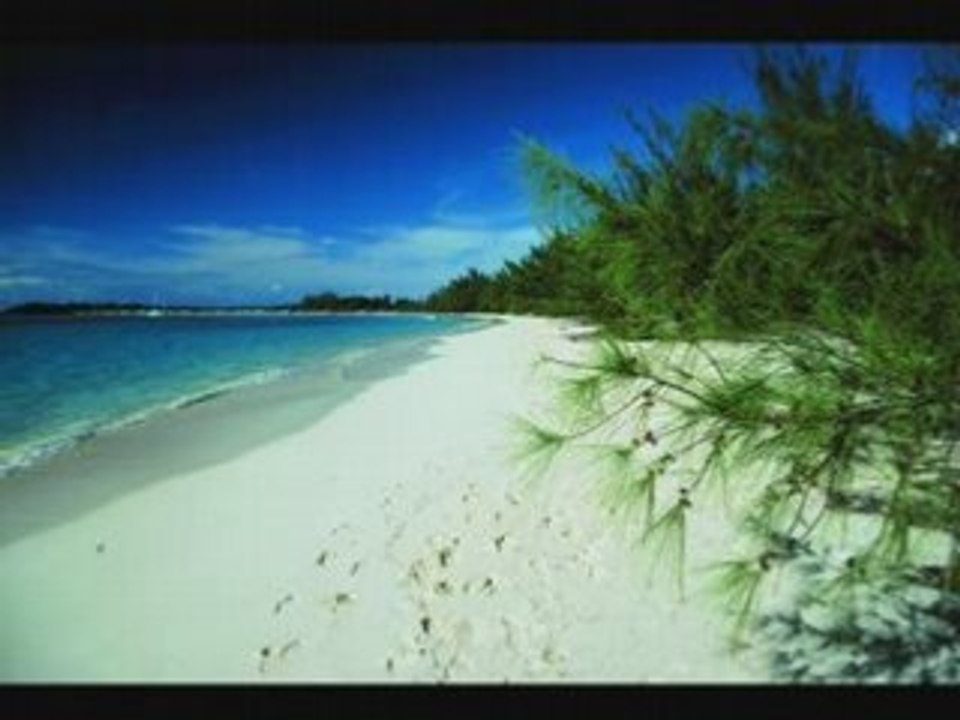FuNK PARADISE